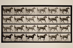 Eadweard J. Muybridge , Trotting; sulky; breaking to gallop; sorrel mare, Flode Holden, ca. 1884 - 1887. George Eastman House