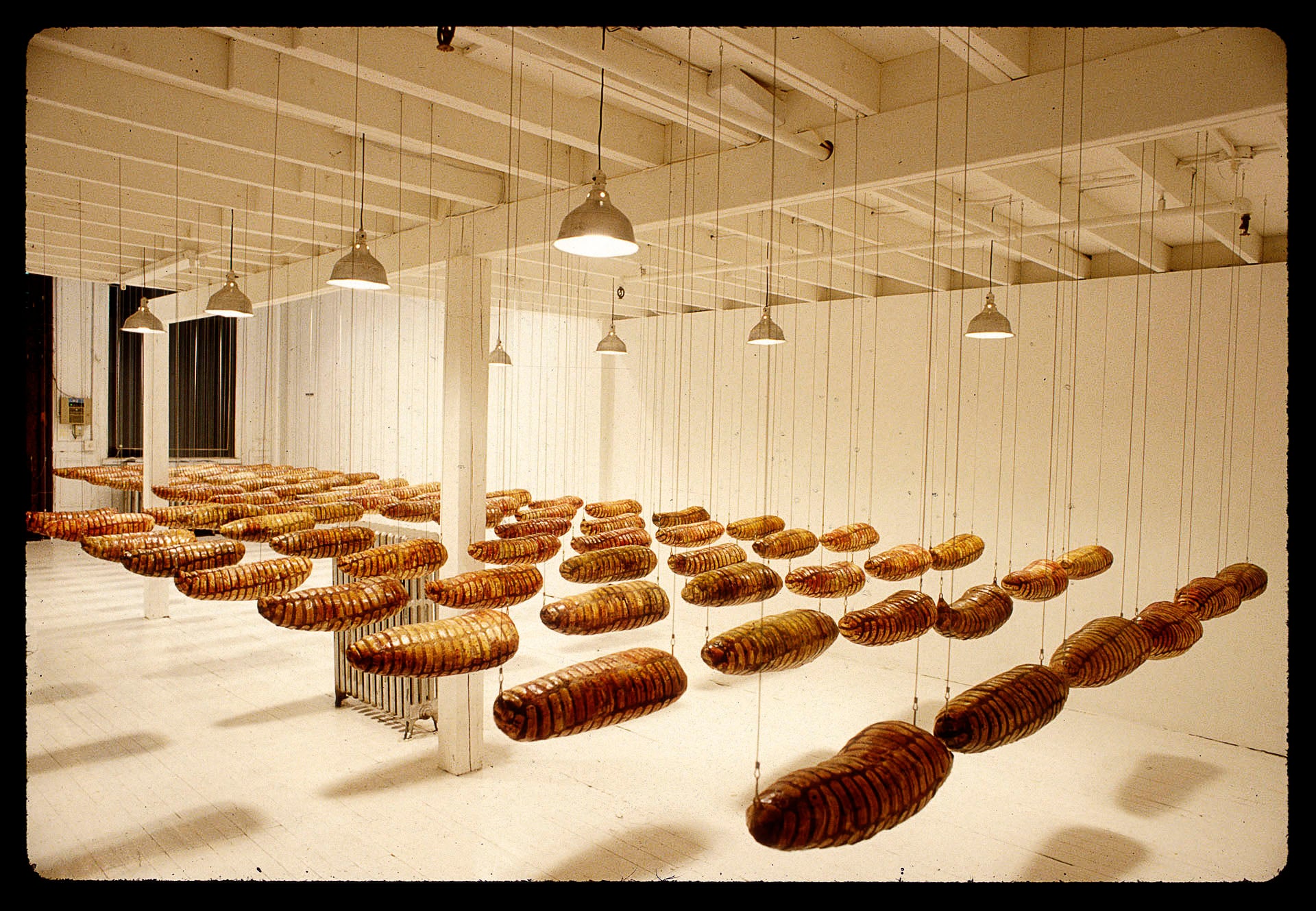 Dolores Zorreguieta "Wounds" (1994)