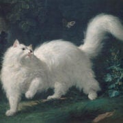 Jean Jacques Bachelier | White angora cat chasing a butterfly, 2nd half 18th Century | Musée Lambinet | Réunion des Musées Nationaux
