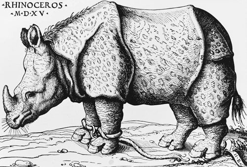 Hans Burgkmair | Rhinoceros | 1515 | The Illustrated Bartsch. Vol. 11, Sixteenth Century German Artists: Hans Burgkmair, the Elder, Hans Schäufelein, Lucas Cranach, the Elder