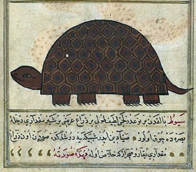 Author: Zakariya ibn Muhammad Qazwini; Scribe: Muhammad ibn Muhammad Shakir Ruzmah-'i Nathani, Illustration: A Turtle; Leaf from Turkish Version of the Wonders of Creation, 1121 AH/AD 1717. The Walters Art Museum