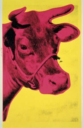 Andy Warhol; Cow, 1966. Images © The Andy Warhol Foundation for the Visual Arts, Inc. and Andy Warhol artwork © The Andy Warhol Foundation for the Visual Arts, Inc.