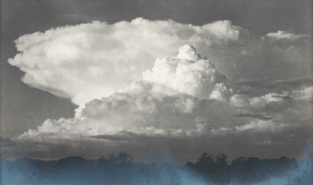 Edward Weston, Crepusculo (Sunset), 1924. Image and data from SFMOMA. © 1981 Center for Creative Photography, Arizona Board of Regents / Artist Rights Society (ARS), New York.