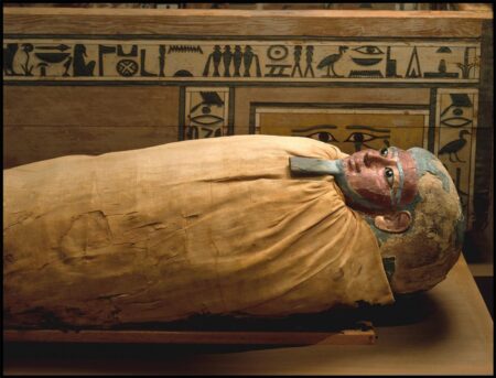 The strange fates of pillaged mummies