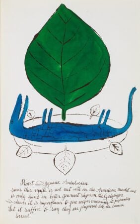 Andy Warhol, Suzie Frankfurt. Wild Raspberries (book), Roast Iguana (illustration). 1959. Offset lithograph and watercolor on paper. Artwork and Image © The Andy Warhol Foundation for the Visual Arts, Inc.