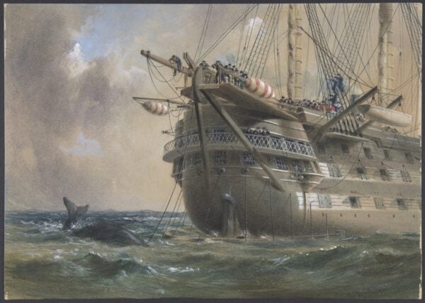 Robert Charles Dudley. H.M.S. Agamemnon Laying the Atlantic Telegraph Cable in 1858: a Whale Crosses the Line. 1865-1866. Image and data provided by the Metropolitan Museum of Art. Public domain.