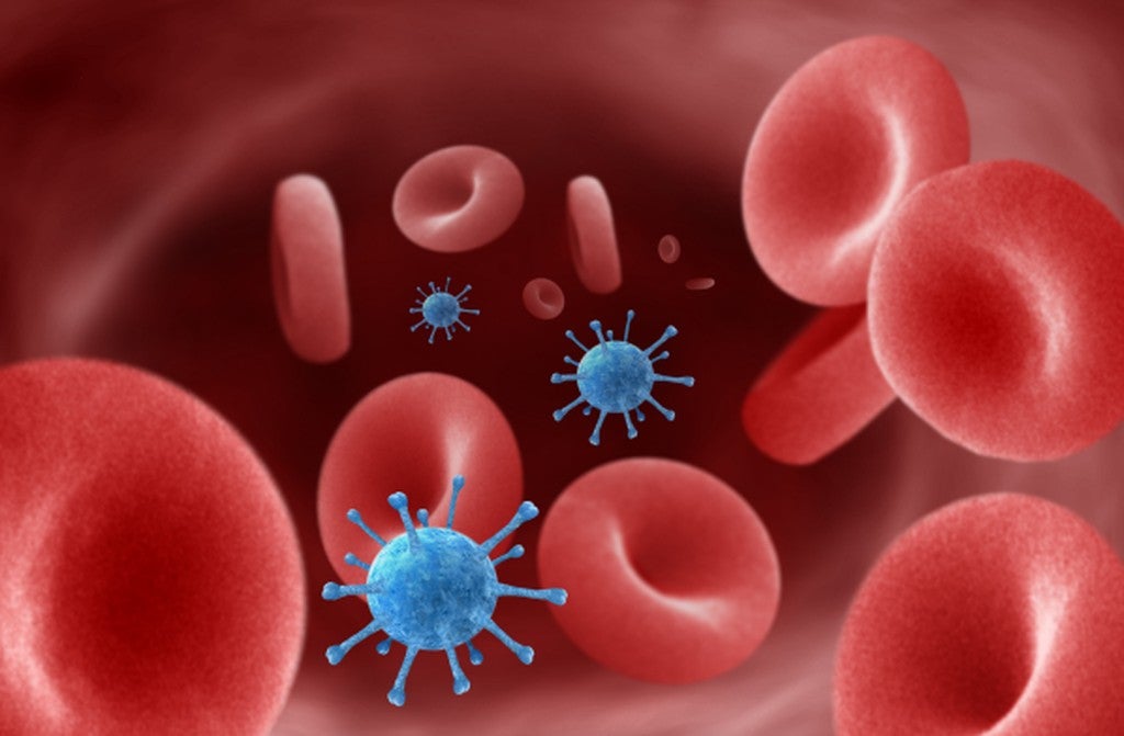 Annie Cavanagh. Viruses in the blood stream.