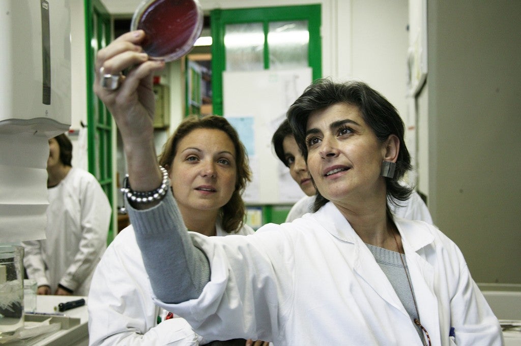 Fernando Moleres. Scientists researching a vaccine for whopping cough inspect a petri dish in a laboratory at the Pasteur institute.