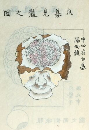 Aoki Shukuya, illustrator. Shōbo ken sui no zu. Illustration from the book, Kaishi Hen (Analysis of Cadavers) by Shinnin Kawaguchi.