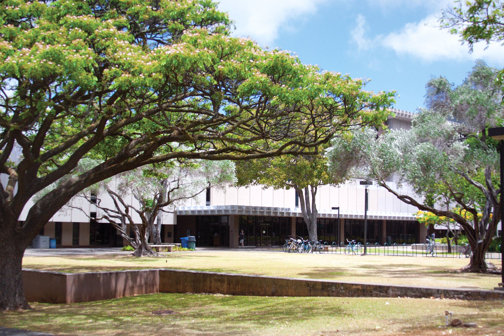 Library at University of Hawaii
