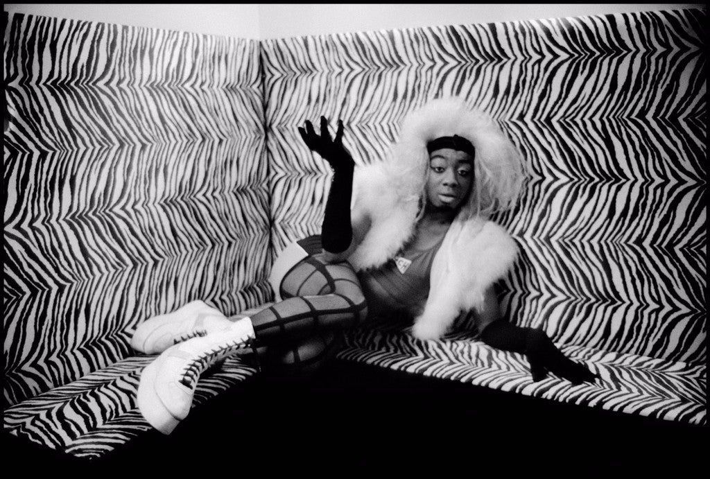A person strikes a dramatic pose on a zebra-print sofa, wearing a fluffy vest, patterned tights, long gloves, platform boots, and a voluminous white wig.