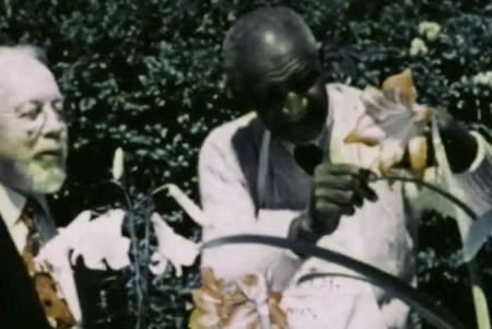 Two men closely examine a large flower in a garden, one holding the bloom for inspection.