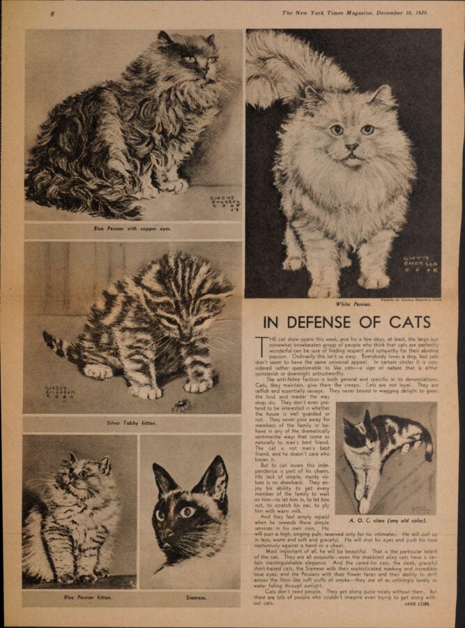 Vintage newspaper page titled “In Defense of Cats,” with five cat illustrations surrounding a column of text.