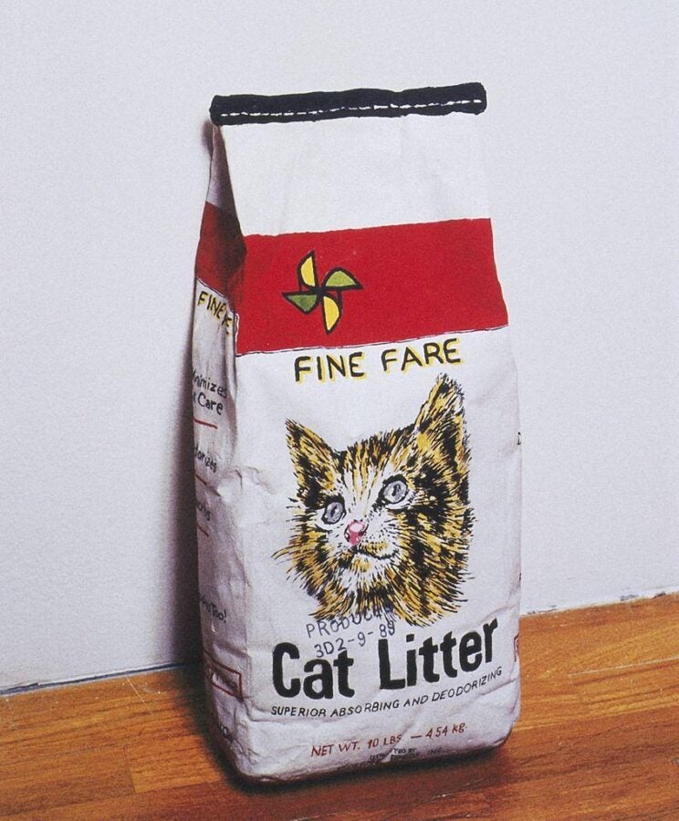 Sculptural grocery bag labeled “Cat Litter,” printed with a sketched kitten head on the front.