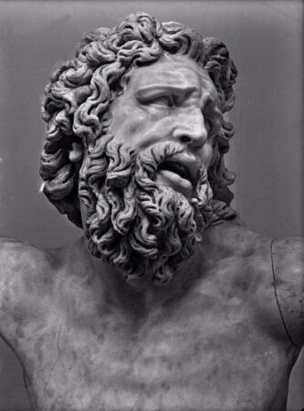 A close-up view of a classical marble sculpture, portraying the anguished face of Laocoön, a figure from ancient mythology. His deeply furrowed brow, wide eyes, and open mouth convey intense emotion, likely pain or despair. The intricately carved, wavy beard and hair add to the dynamic expression of the piece. The sculpture captures a dramatic moment, showcasing the mastery of Roman or Hellenistic artistry in rendering human emotion and physical detail.