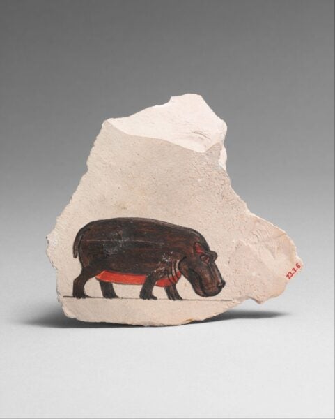 A fragment of limestone featuring an ancient Egyptian painting of a hippopotamus. The image shows the hippopotamus painted in black with red and brown details, standing on a pale background. The artwork is from ca. 1479–1425 B.C. and is part of The Metropolitan Museum of Art's collection. The rough edges of the limestone piece emphasize its age and historical context.