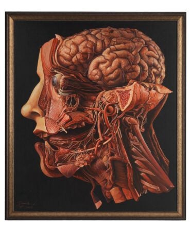 A highly detailed acrylic painting of a dissected human head, revealing the complex anatomy of the brain, muscles, blood vessels, and nerves. The left half of the face remains intact, showing a natural human profile, while the right side is meticulously exposed to display underlying structures. The painting, created in 2001 by artist Richard Ennis, serves as a memorial to a friend who passed away from squamous cell carcinoma. It blends anatomical precision with artistic tribute, drawing inspiration from wax models at La Specola in Florence.