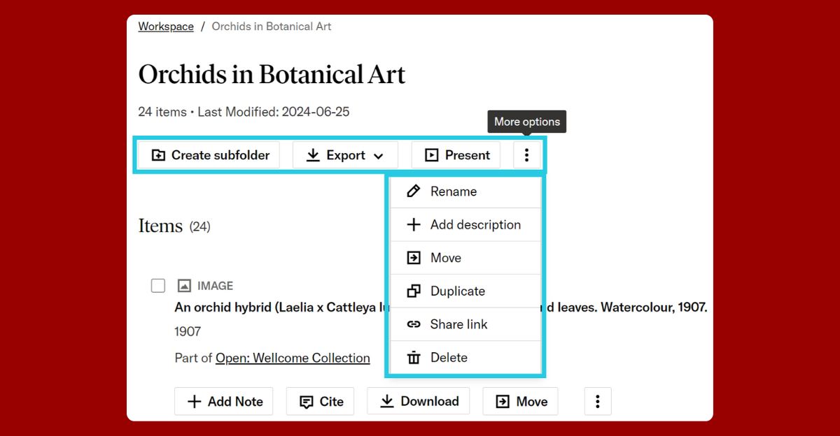 A screenshot of the JSTOR Workspace interface displaying a collection titled "Orchids in Botanical Art" with 24 items. The interface includes options such as "Create subfolder," "Export," and "Present." A dropdown menu labeled "More options" is open, showing actions like "Rename," "Add description," "Move," "Duplicate," "Share link," and "Delete." Below the listed items, additional buttons for "Add Note," "Cite," "Download," and "Move" are visible.