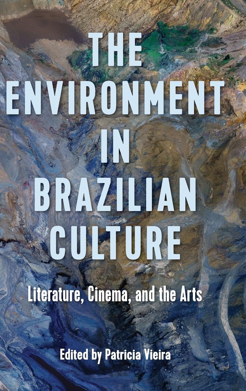 Cover of The Environment in Brazilian Culture: aerial, rock-like textures in blues and browns with oversized pale title; subtitle and editor credit below.