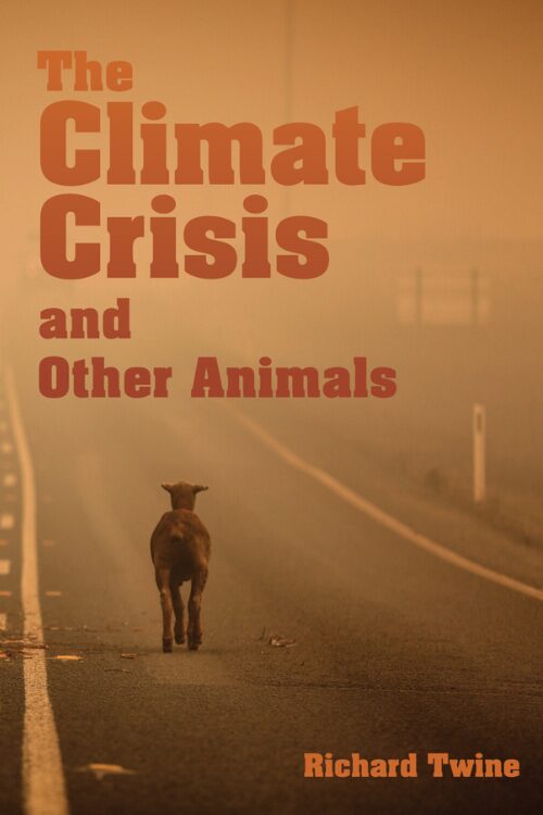 The Climate Crisis and Other Animals by Richard Twine — cover showing a lone lamb standing on a foggy road at sunrise.