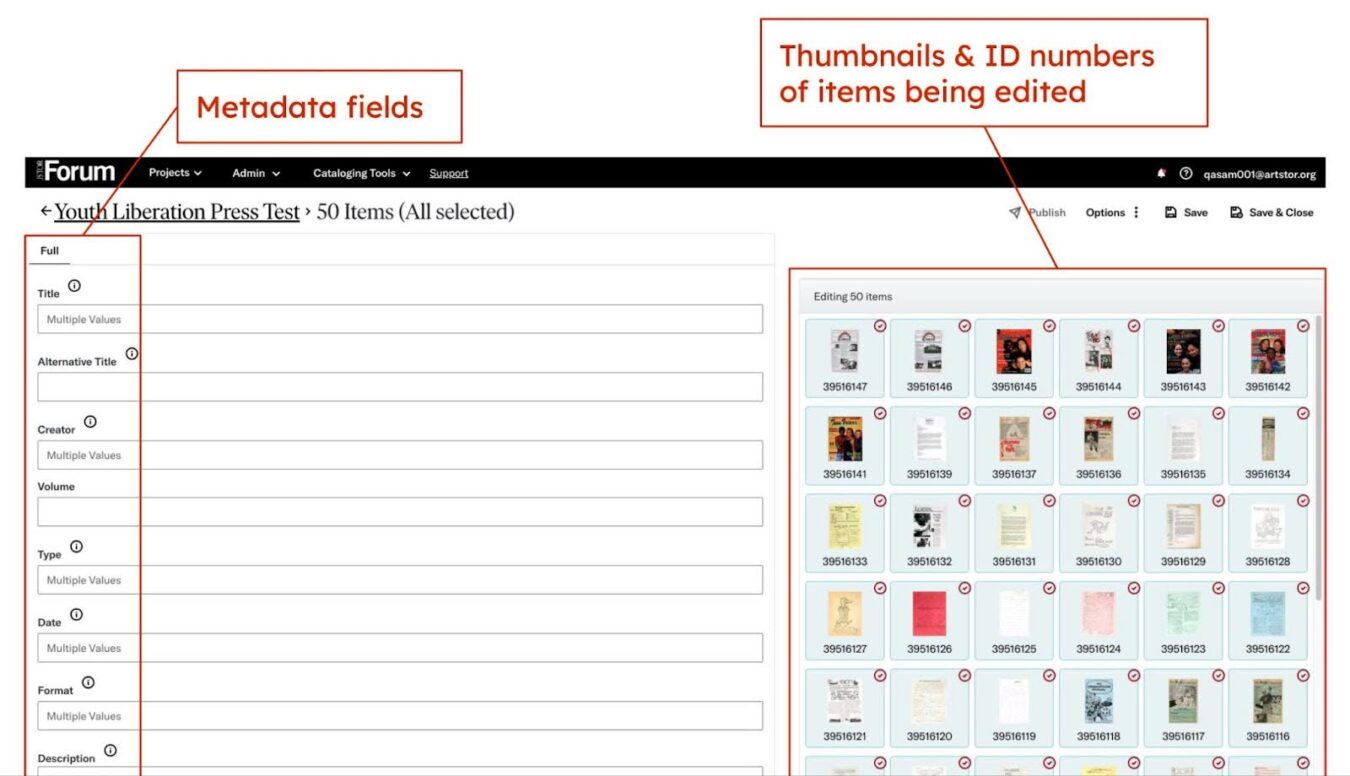 JSTOR Forum bulk-edit page for “Youth Liberation Press Test”: editable metadata fields on the left and a right sidebar showing 50 item thumbnails with ID numbers; actions include Publish and Save.