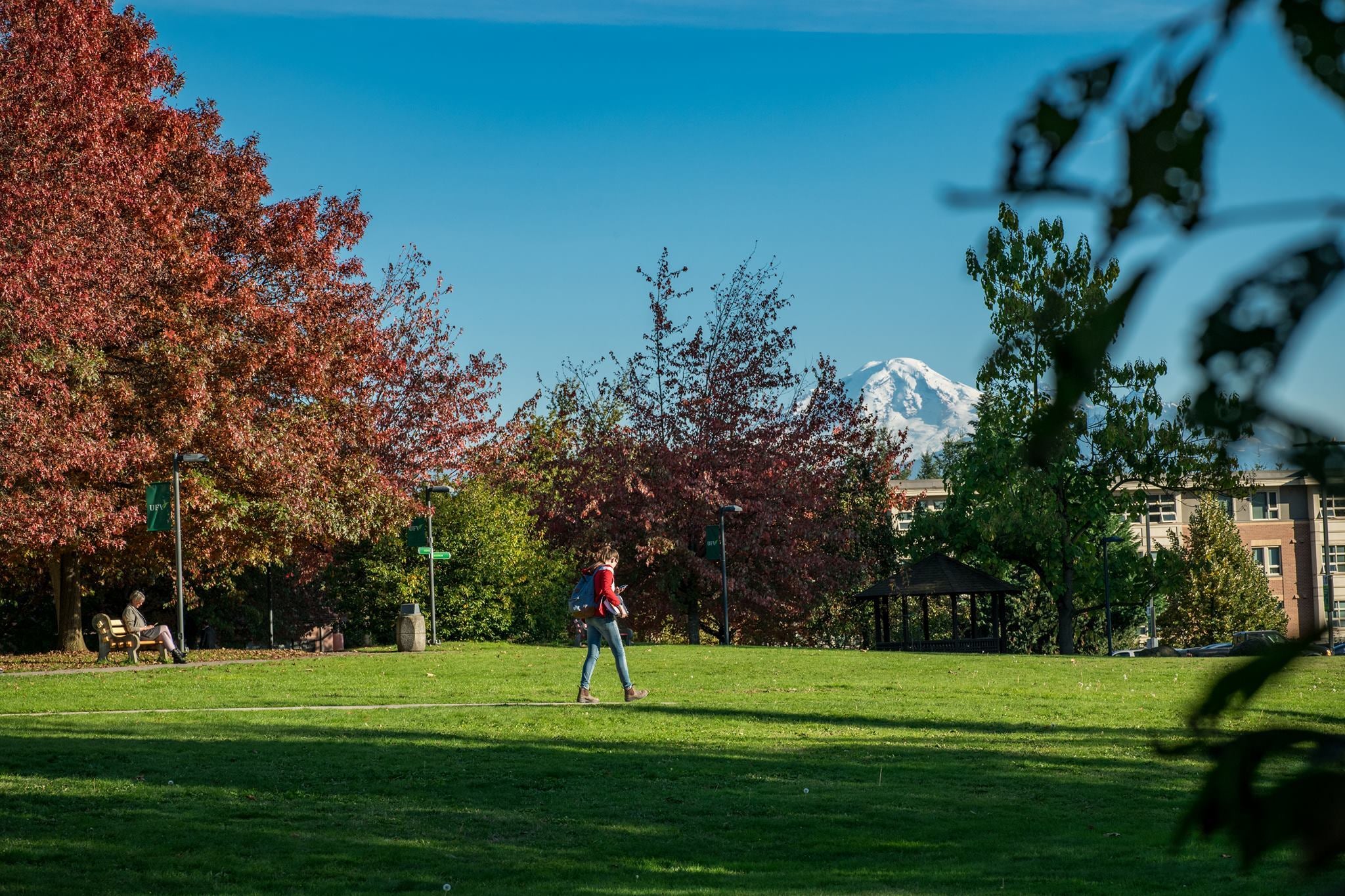 A person wearing a red jacket and carrying a backpack walks across a sunny green lawn surrounded by autumn trees with red and orange leaves. In the background, a snow-capped mountain rises under a clear blue sky, and a person sits on a bench beneath the trees.