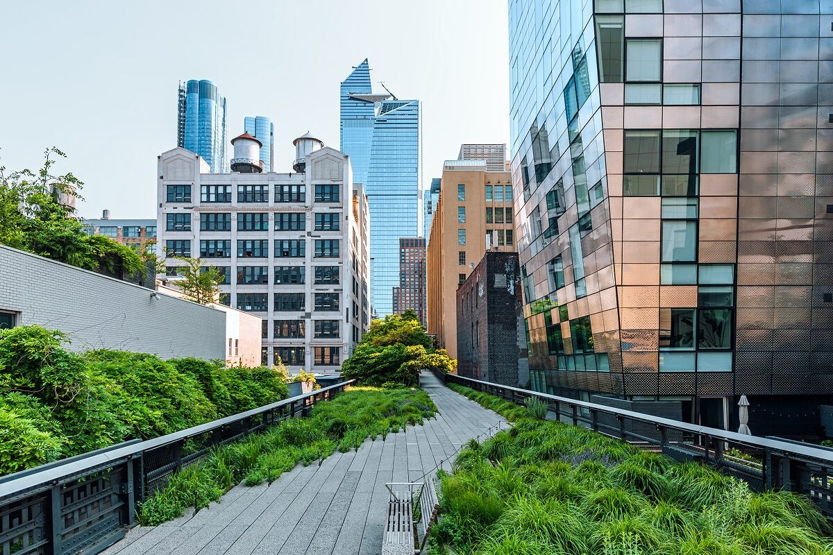 A view of New York City’s High Line park surrounded by modern and historic buildings, with green plants lining the elevated walkway.