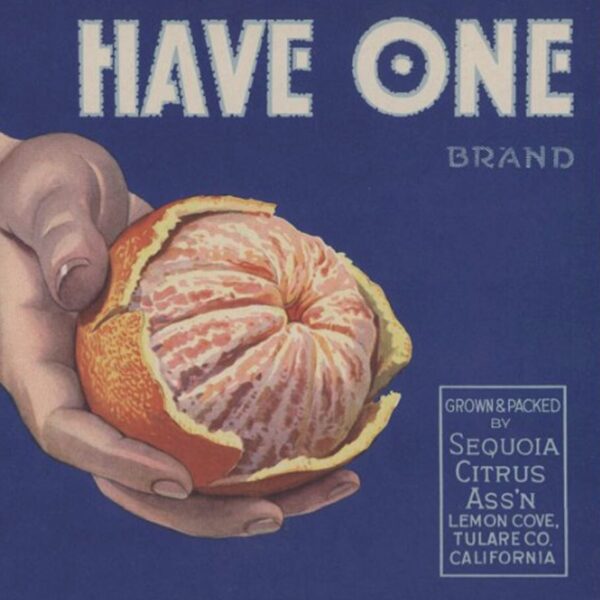 Vintage fruit crate label reading “Have One Brand,” featuring an illustration of peeled citrus fruit held in two hands.