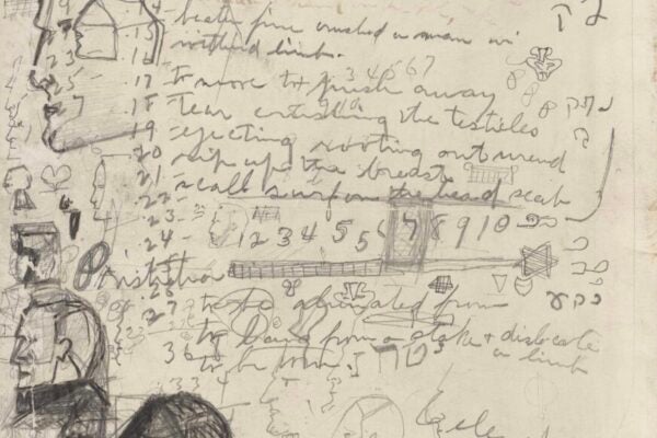 Printed Photograph of Deer from National Geographic. Includes Handwritten Notes on Reverse, Including Hebrew Text and Sketches of Male Head and Star of David. Documents. Sidney M. Hirsch Collection.