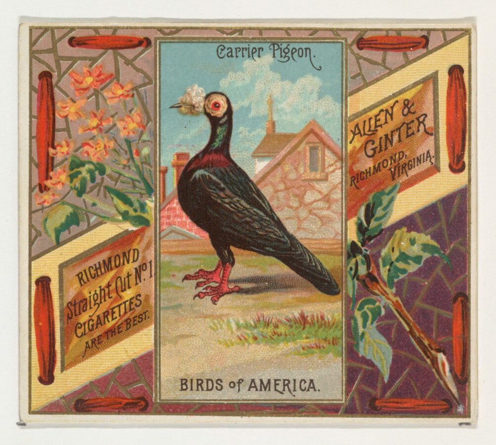Color lithograph of a carrier pigeon standing in front of a stone building, framed by floral and geometric patterns. Advertisement text reads “Allen & Ginter, Richmond, Virginia” and “Richmond Straight Cut No. 1 Cigarettes.”