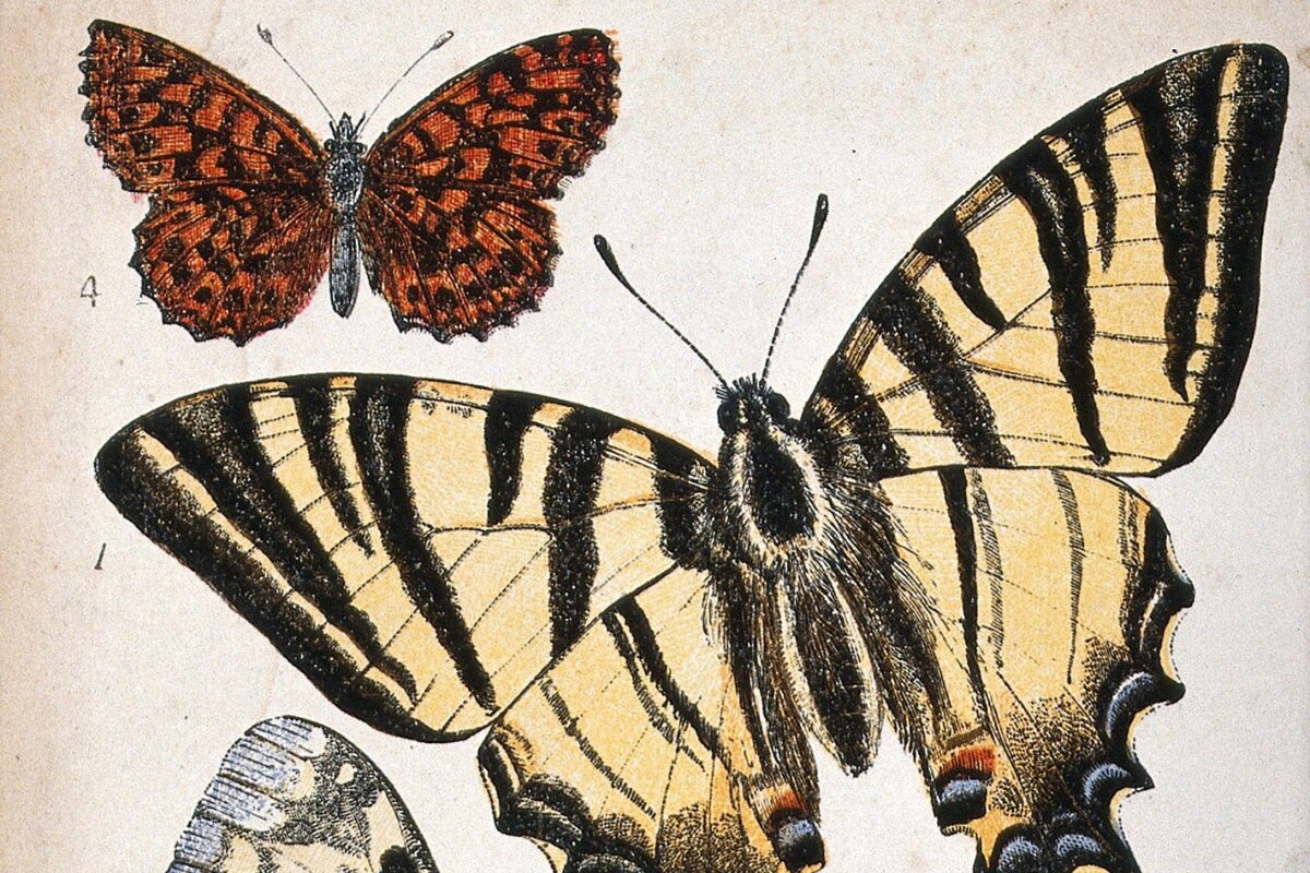 Sign up for teaching and learning updates