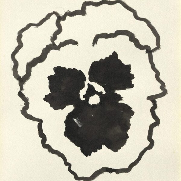 Black ink drawing of a loosely outlined pansy flower on white paper, rendered in expressive brushstrokes.