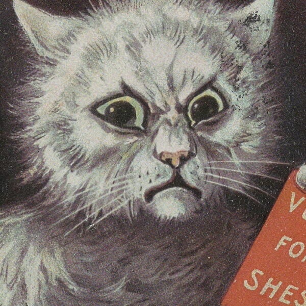 Illustration of an angry gray cat with wide, glaring eyes holding a red placard that reads “VOTE FOR SHES.”