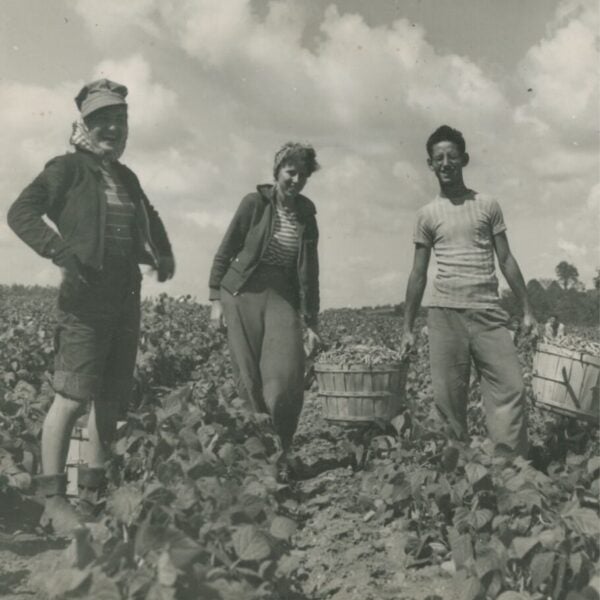 Black-and-white photograph of four people standing in a crop field, holding baskets filled with harvested produce under a cloudy sky.
