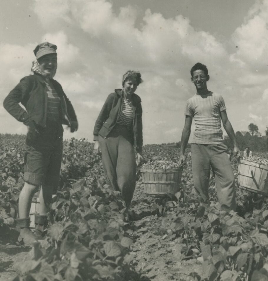 Black-and-white photograph of four people standing in a crop field, holding baskets filled with harvested produce under a cloudy sky.
