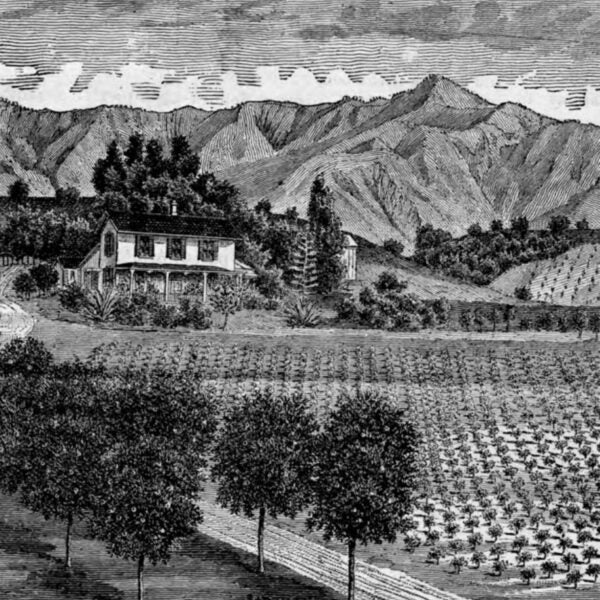 Black-and-white illustration of a farmhouse with surrounding fields and mountains in the background.