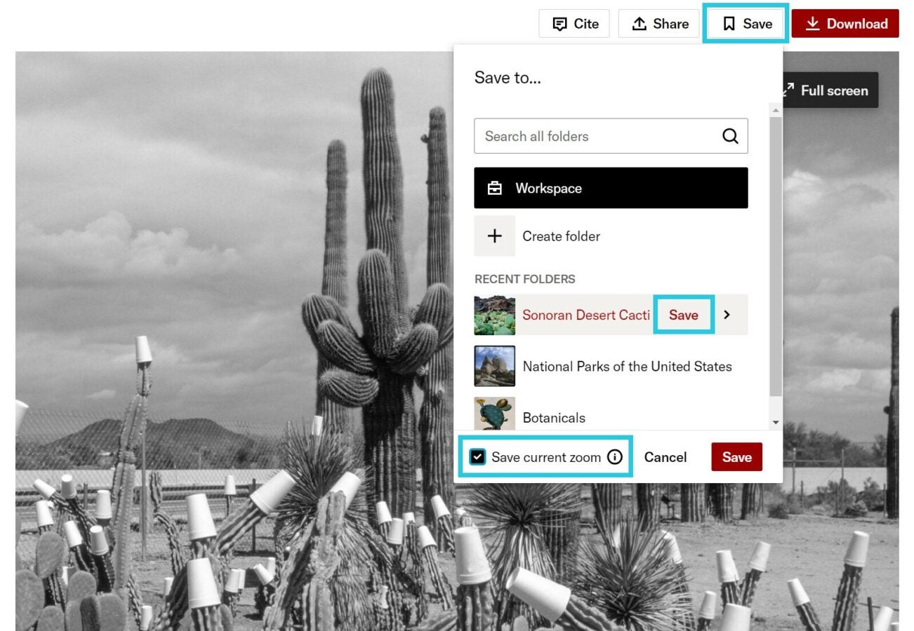 JSTOR image viewer displaying a black-and-white photograph of cacti with the “Save to…” menu open. The panel includes options to search folders, create a folder, save to recent folders, and save the current zoom level.