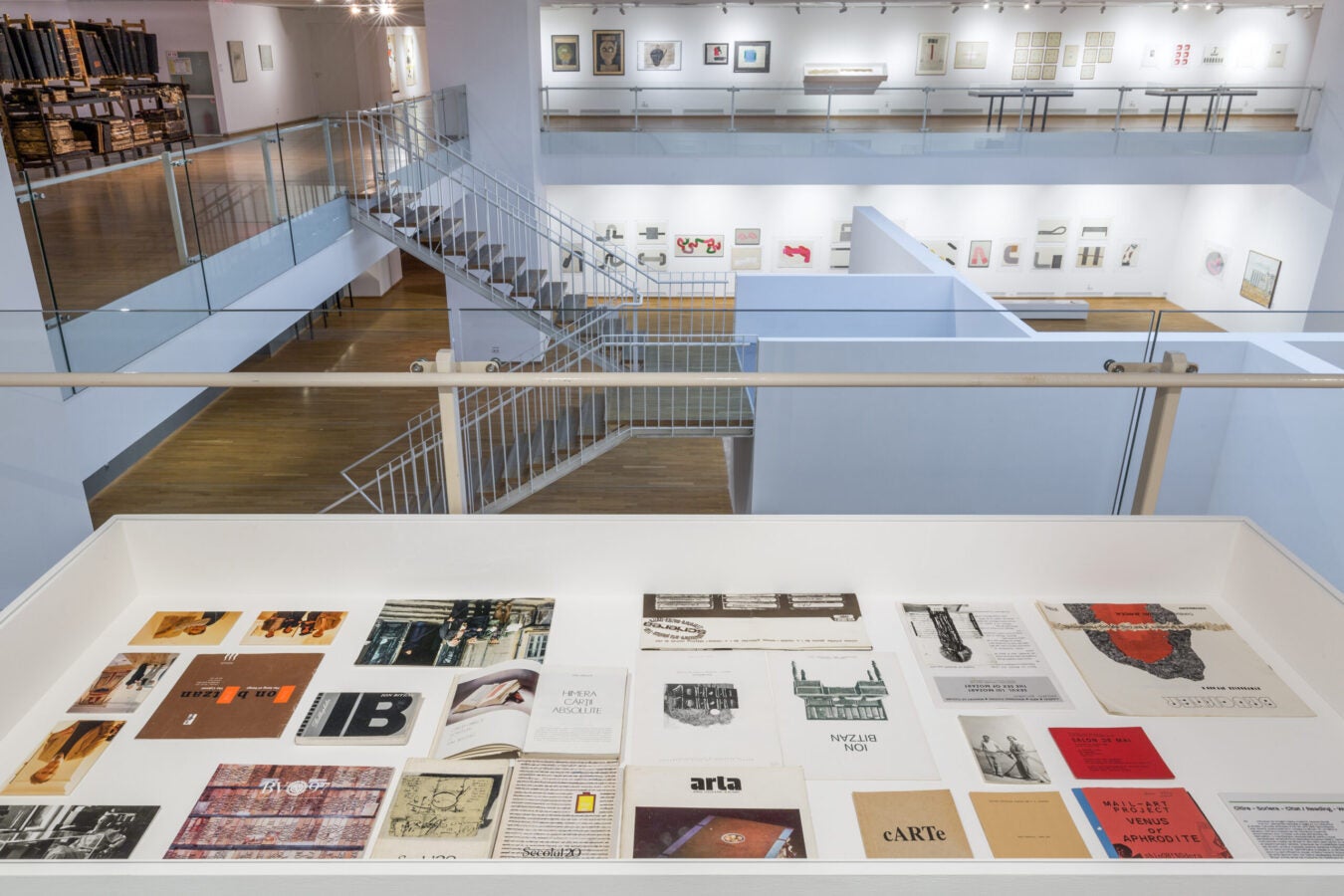 Display case containing exhibition catalogs, books, photographs, and archival materials related to Ion Bitzan, with gallery spaces visible beyond.