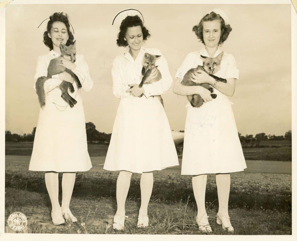 Black-and-white photograph of three nurses in white uniforms, each holding a fox outdoors.