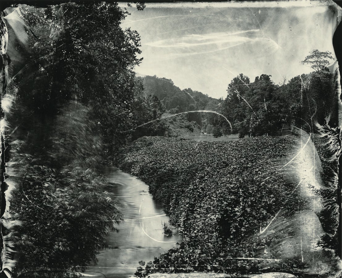 Black-and-white photograph of a shallow creek winding through dense vegetation. Pale, sweeping marks and scratches cross the scene, and irregular, worn edges frame the image.