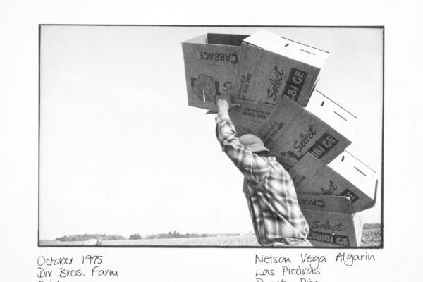 Black-and-white photograph shows Nelson Vega Algarin, a migrant worker from Las Piedras, Puerto Rico, carrying a stack of cardboard produce boxes on his shoulder in a field at Dix Bros. Farm, Fairton, New Jersey in October 1975. He wears a plaid shirt and hat, with the open landscape and horizon visible in the background.