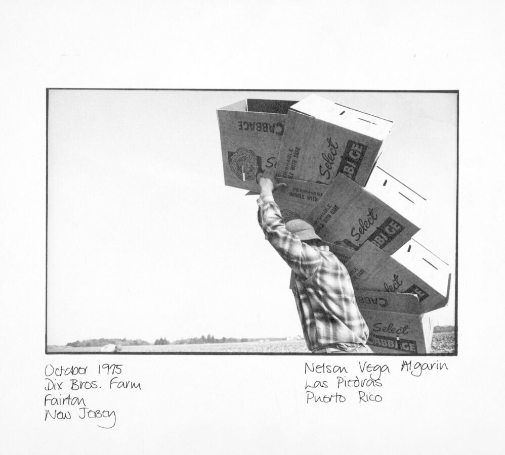 Black-and-white photograph shows Nelson Vega Algarin, a migrant worker from Las Piedras, Puerto Rico, carrying a stack of cardboard produce boxes on his shoulder in a field at Dix Bros. Farm, Fairton, New Jersey in October 1975. He wears a plaid shirt and hat, with the open landscape and horizon visible in the background.
